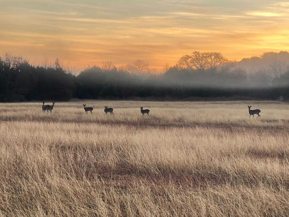 4658 County Road 163 Stephenville