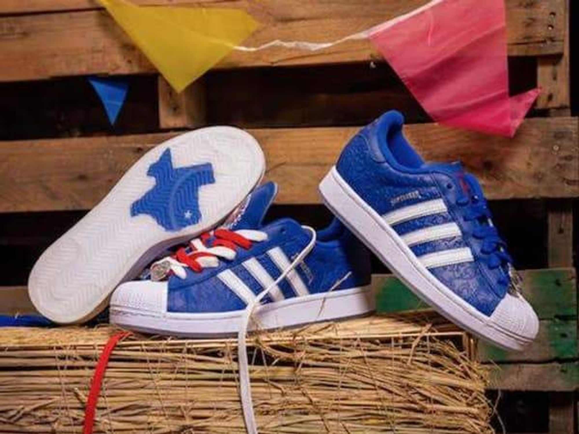 Adidas State Fair sneaker
