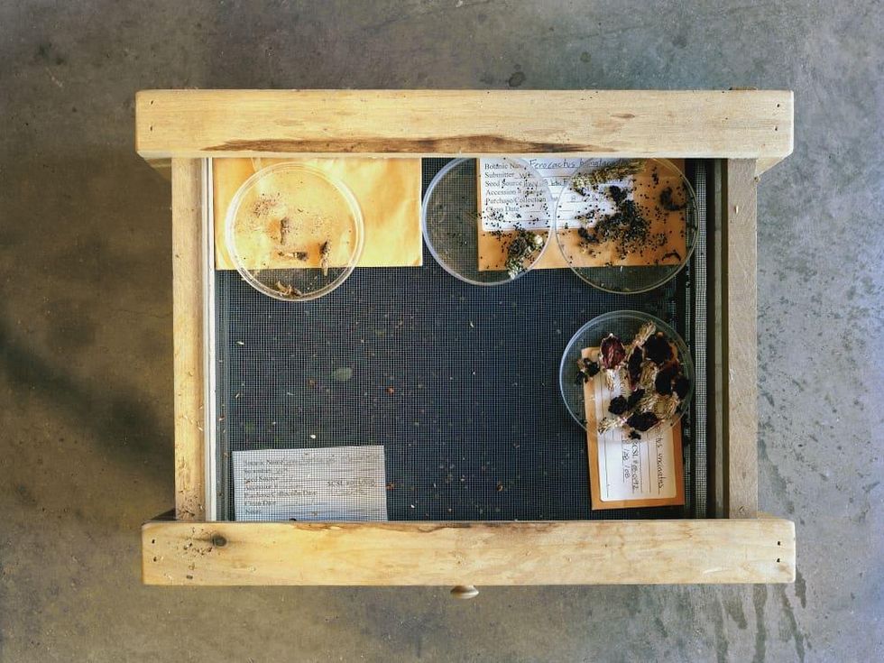 Amon Carter Museum of American Art presents Dornith Doherty: Archiving Eden