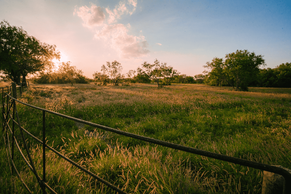 Arrowhead Ranch