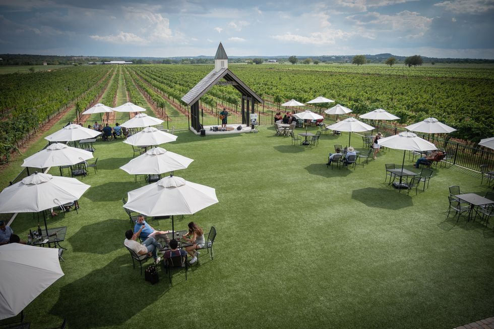 Augusta Vin in Fredericksburg