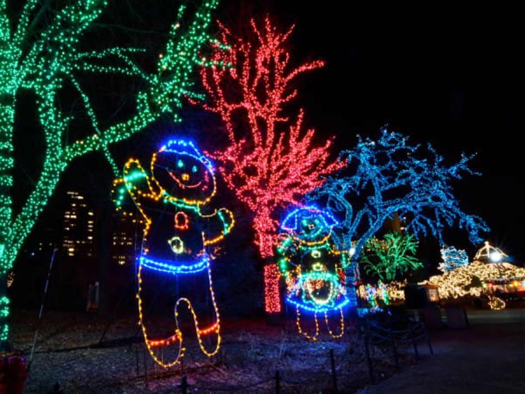 Baylor University Christmas lights