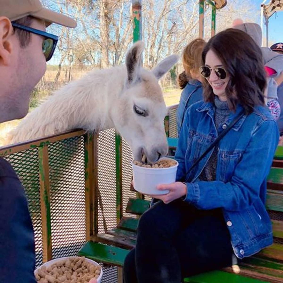 The Bayou Wildlife Zoo is one of Alvin's family-friendly attractions ...