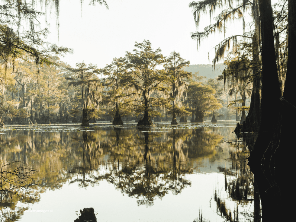 Best Texas State Parks HomeToGo 2021 Caddo Lake State Park
