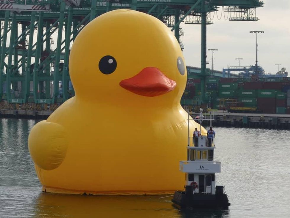 Big #KindnessDuck Party