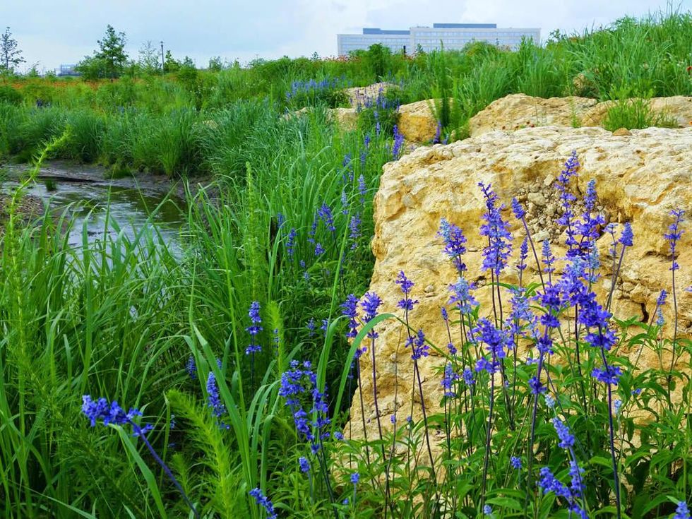 Bluestem Park at Alliance Town Center