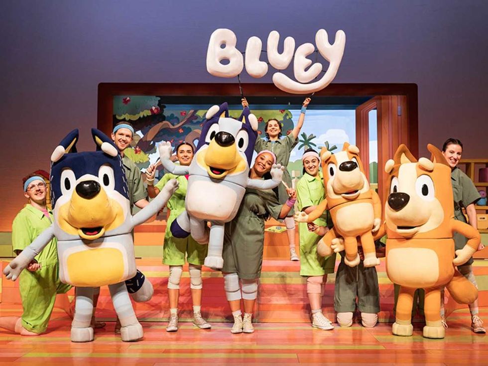 Bluey's Big Play