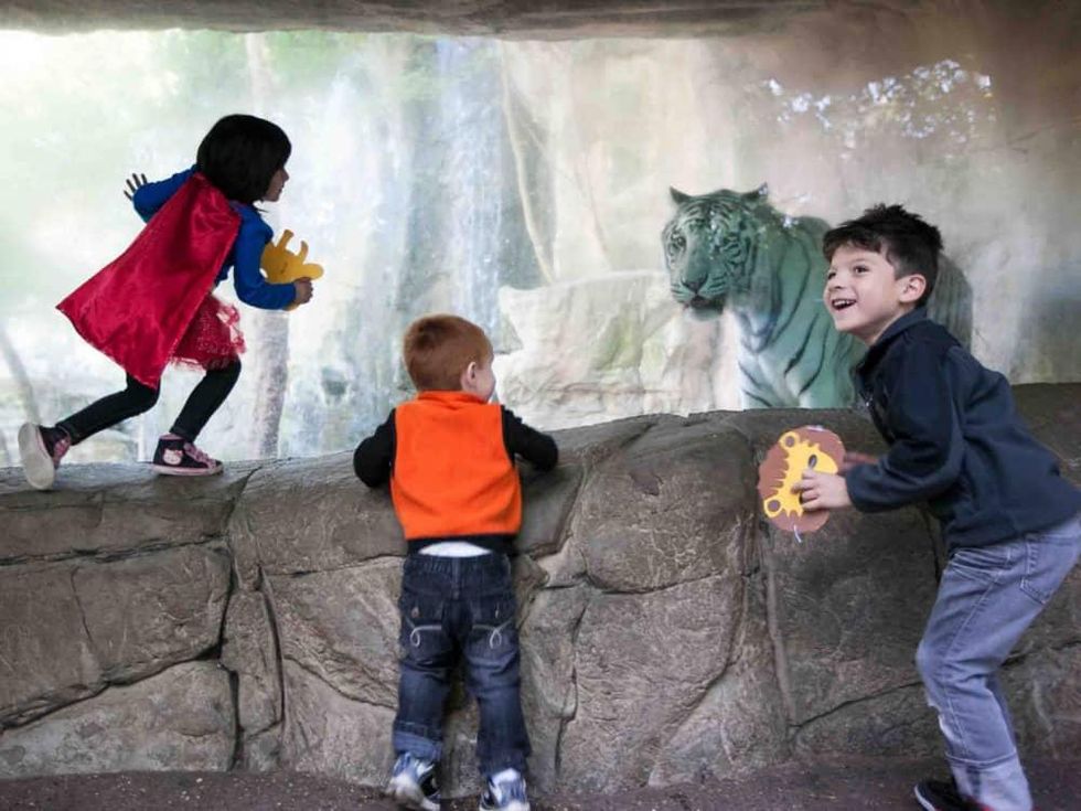 Boo at the Zoo at the Fort Worth Zoo
