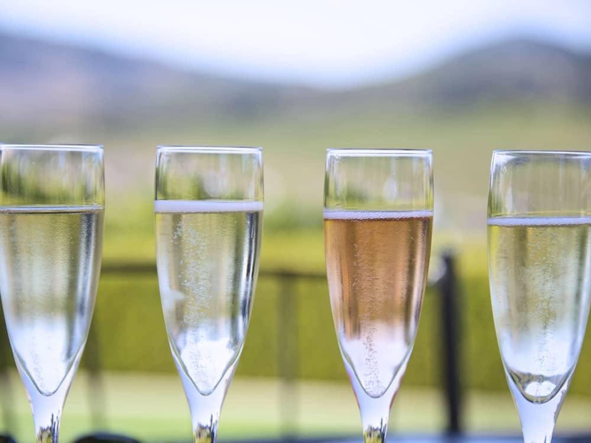 Champagne flight, Ellerbe