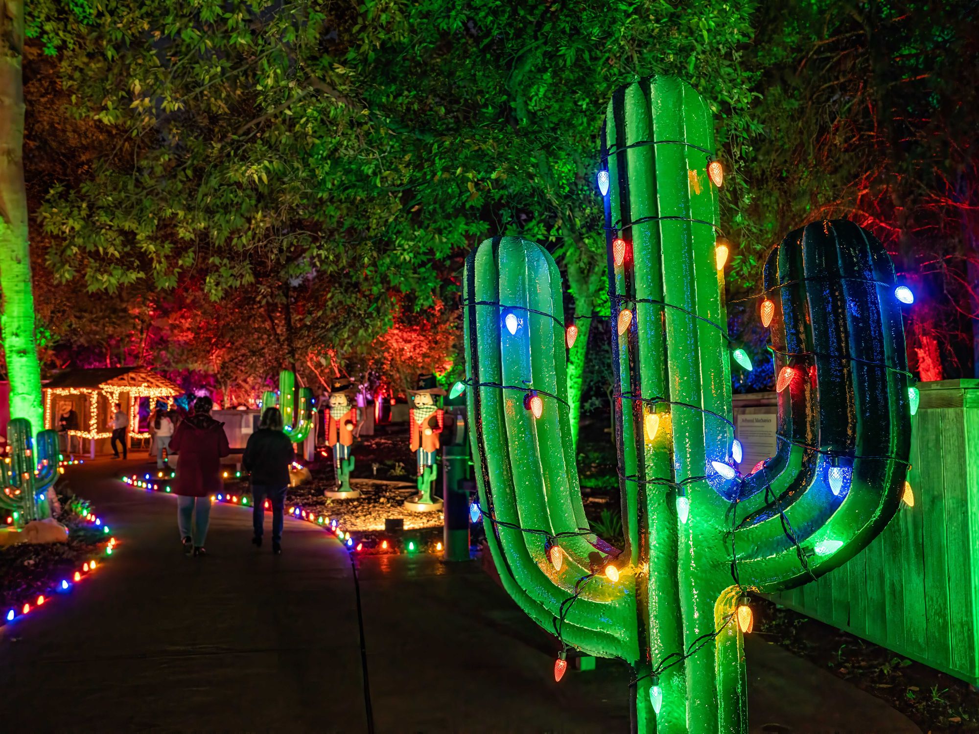 Christmas in the Garden