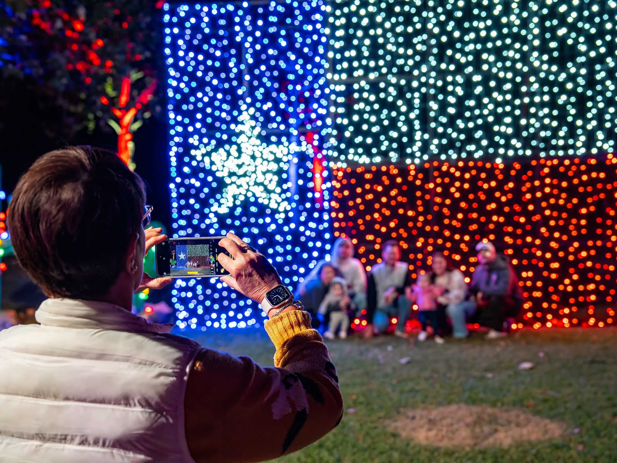 Christmas in the Garden