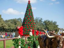 Santa's Arrival in the Stockyards - DFWChild