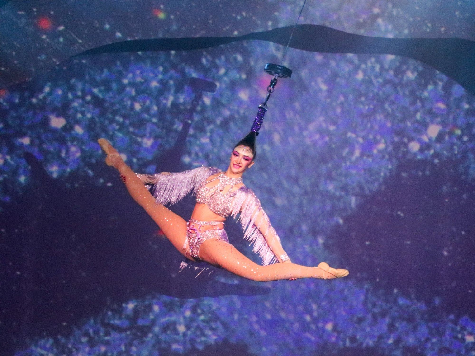 Cirque Musica: Holiday Wonderland