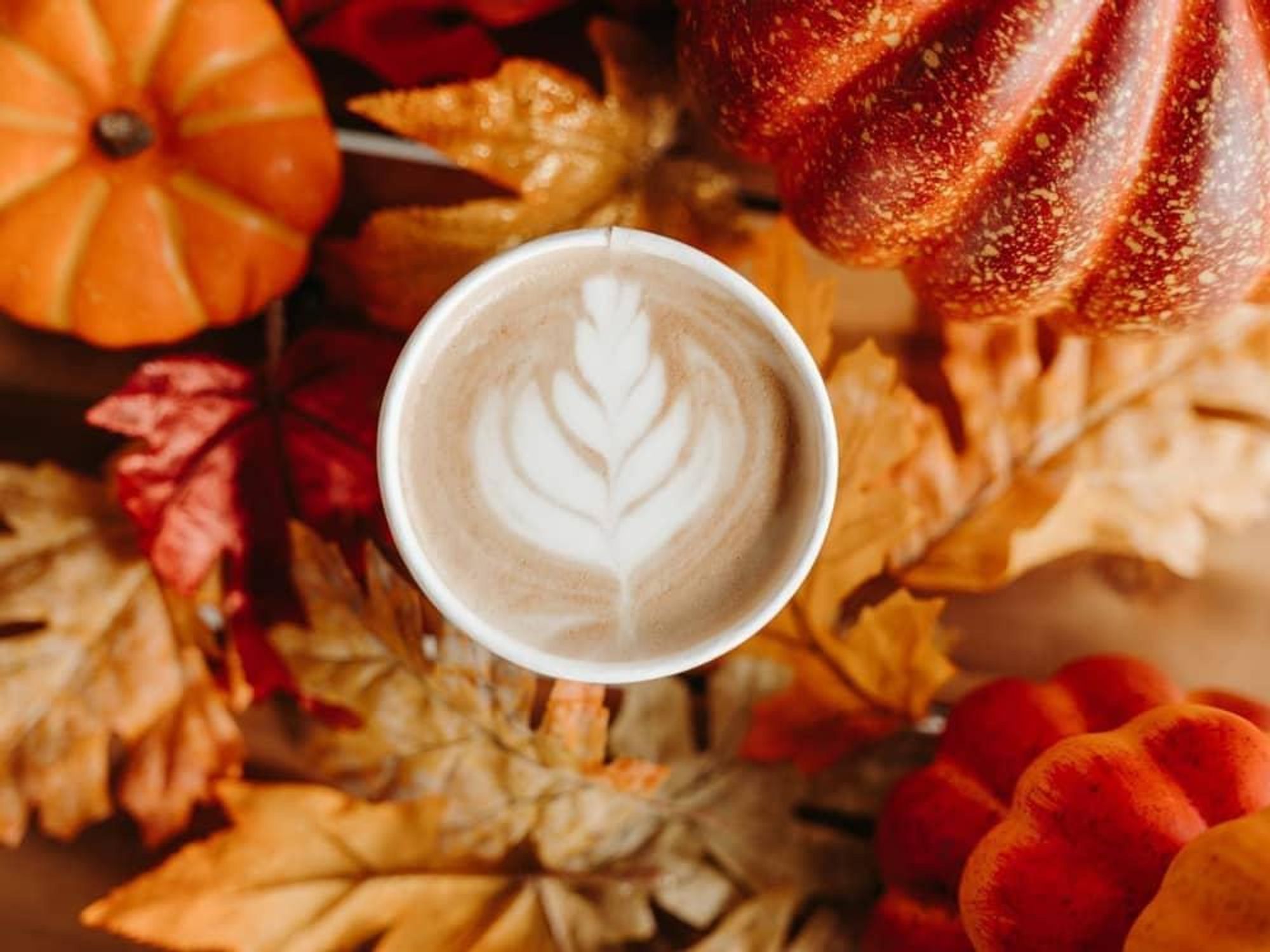 Common Grounds coffee shop, latte