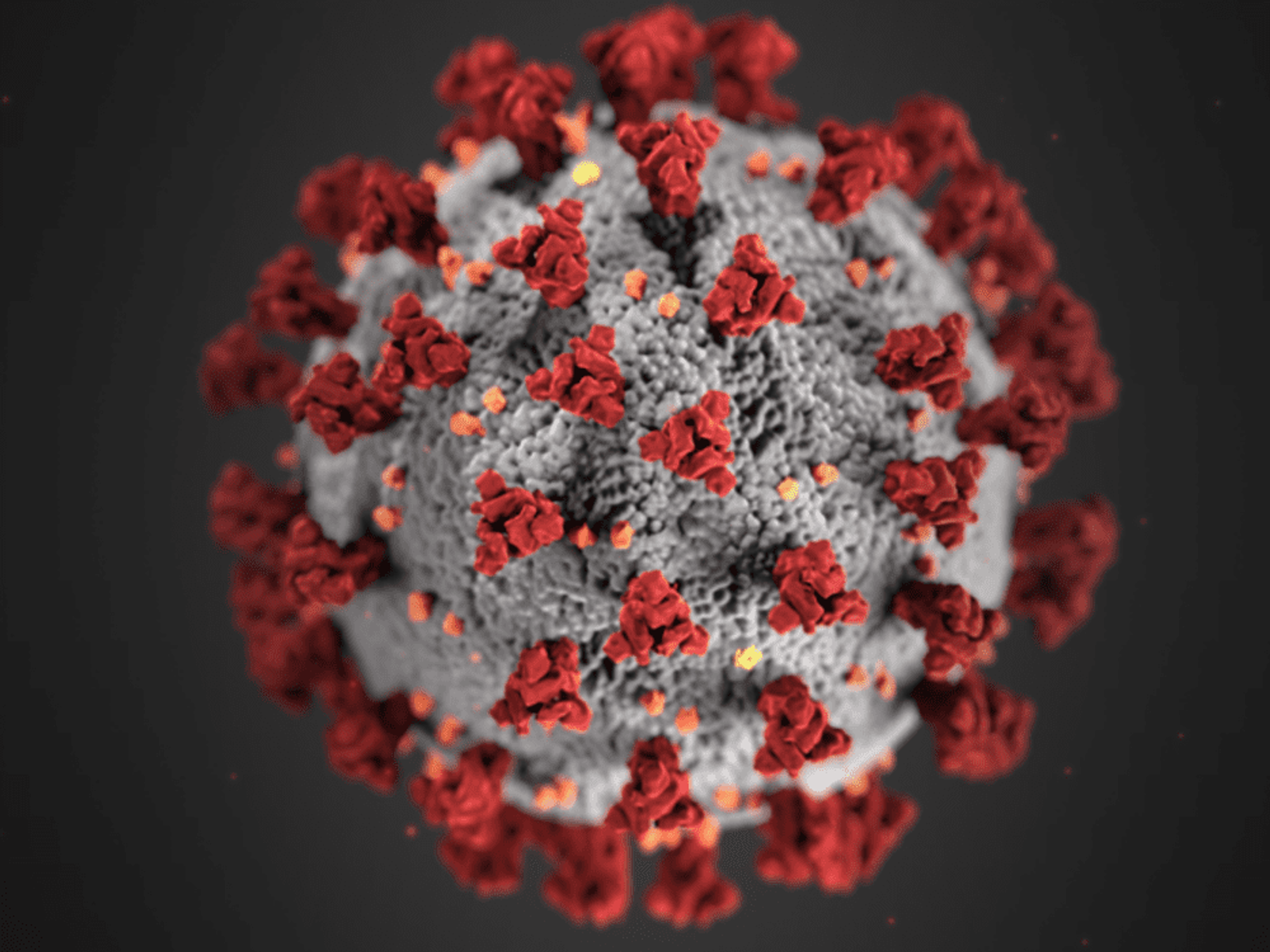 Coronavirus COVID-19