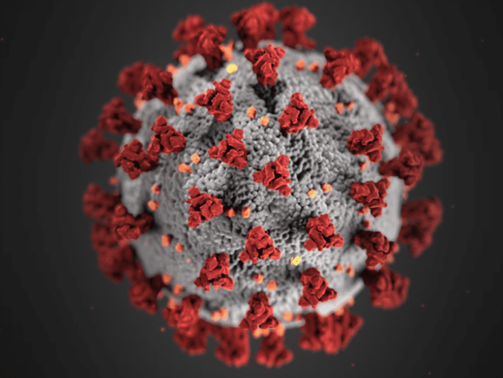 Coronavirus COVID-19