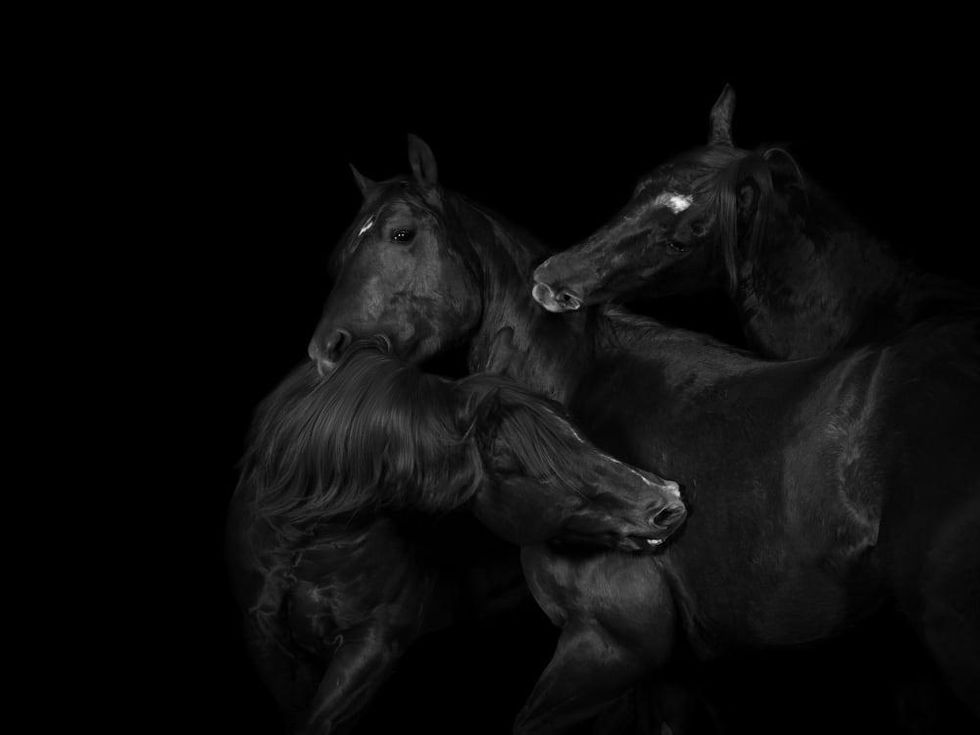 Cowgirl Museum presents Constance Jaeggi: Aspects of Power, Light and Motion