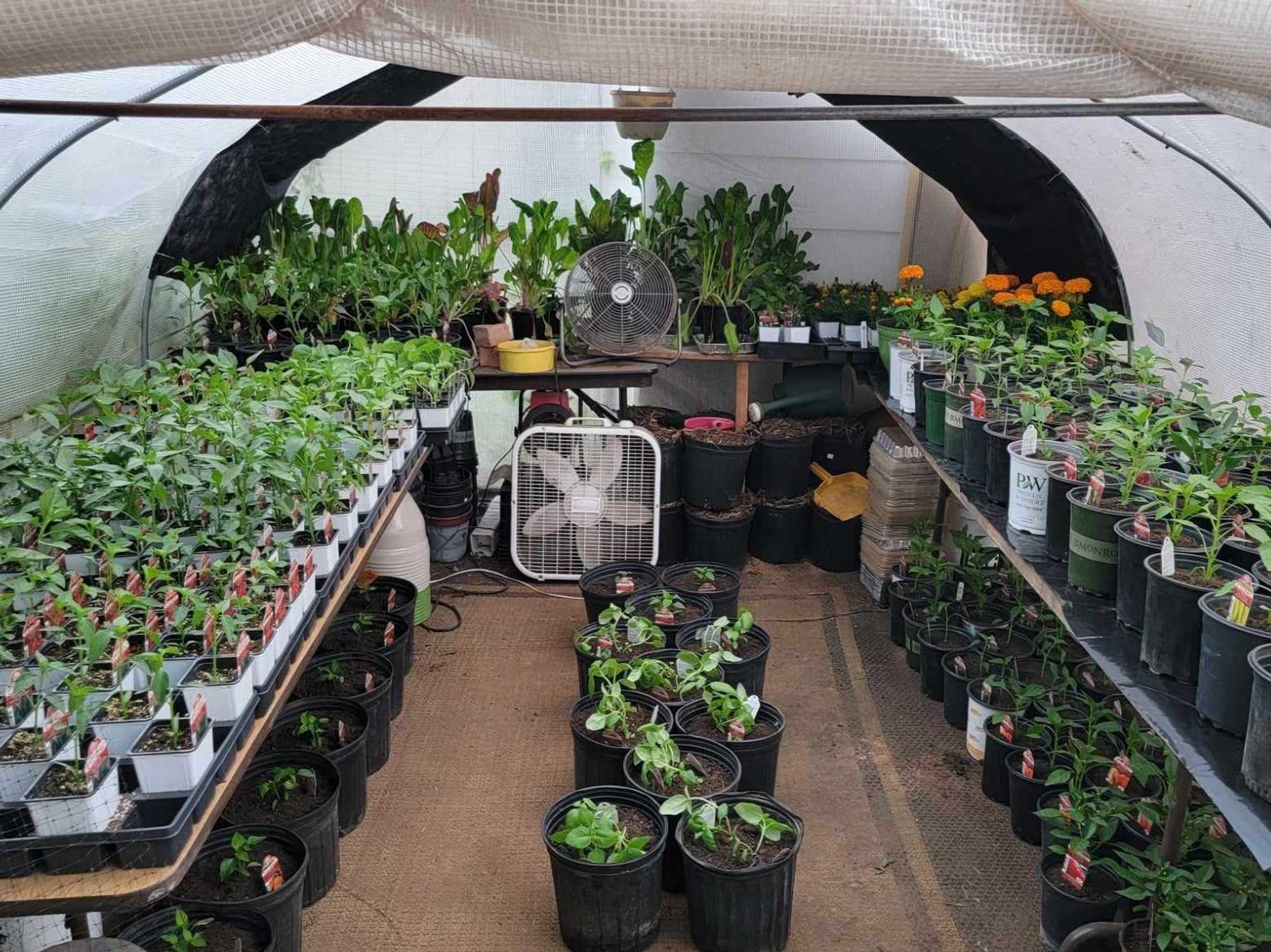 Cowtown Backyard Growers