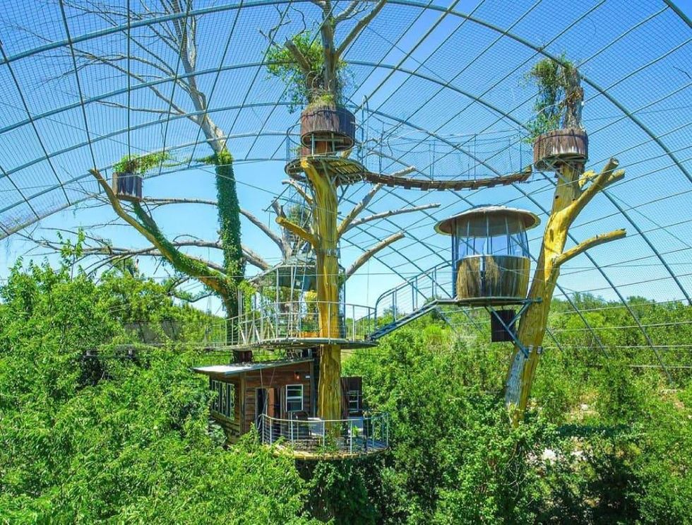 Cypress Valley The Nest