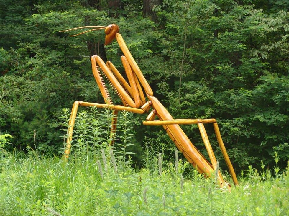David Rogers Big Bugs, Fort Worth Botanic Garden