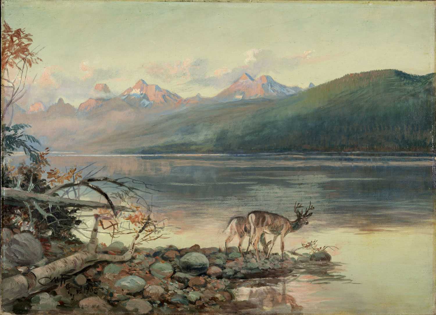 Deer at Lake McDonald, Charles Russell