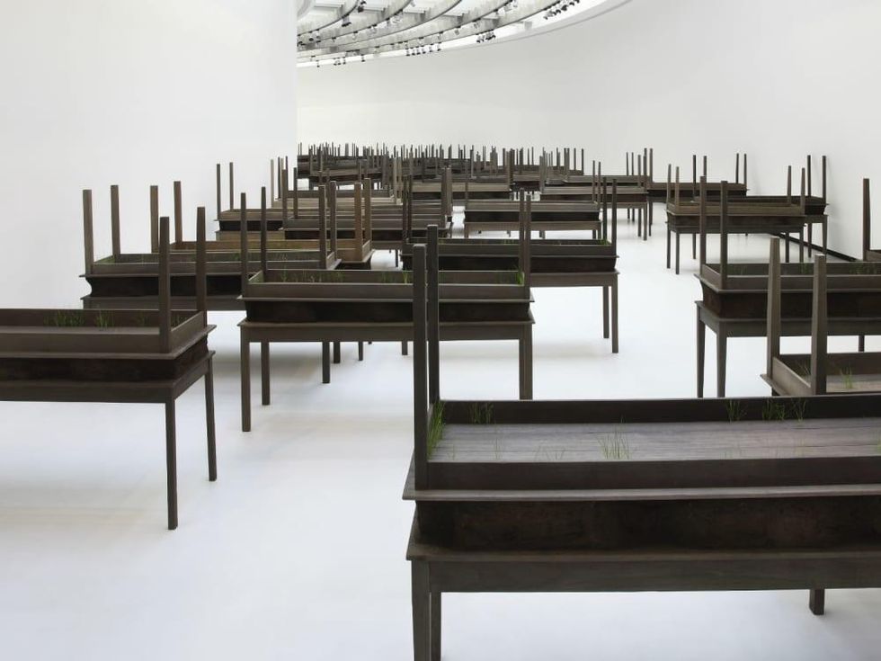 Doris Salcedo - Plegaria Muda