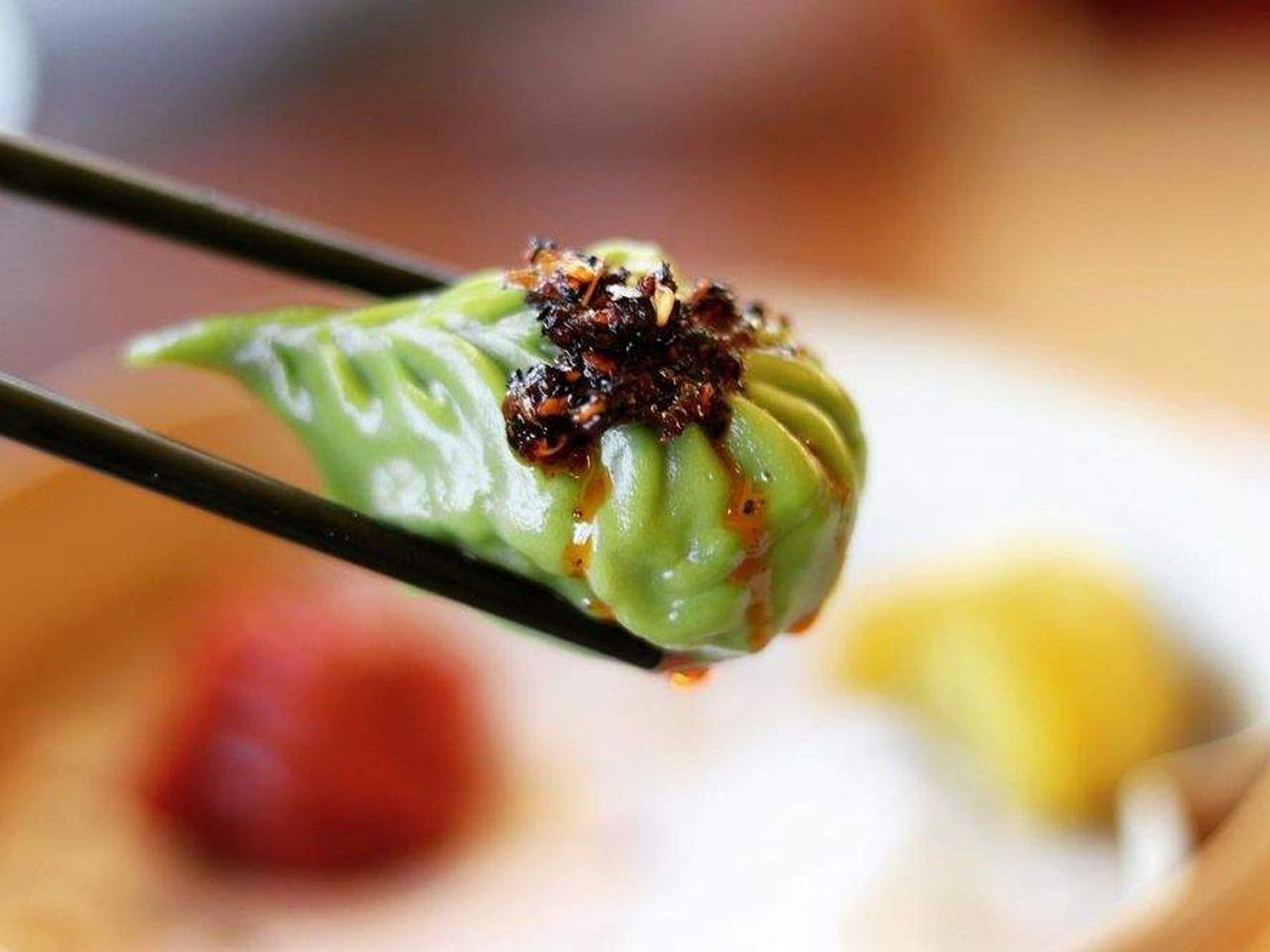 Dragon House dumpling