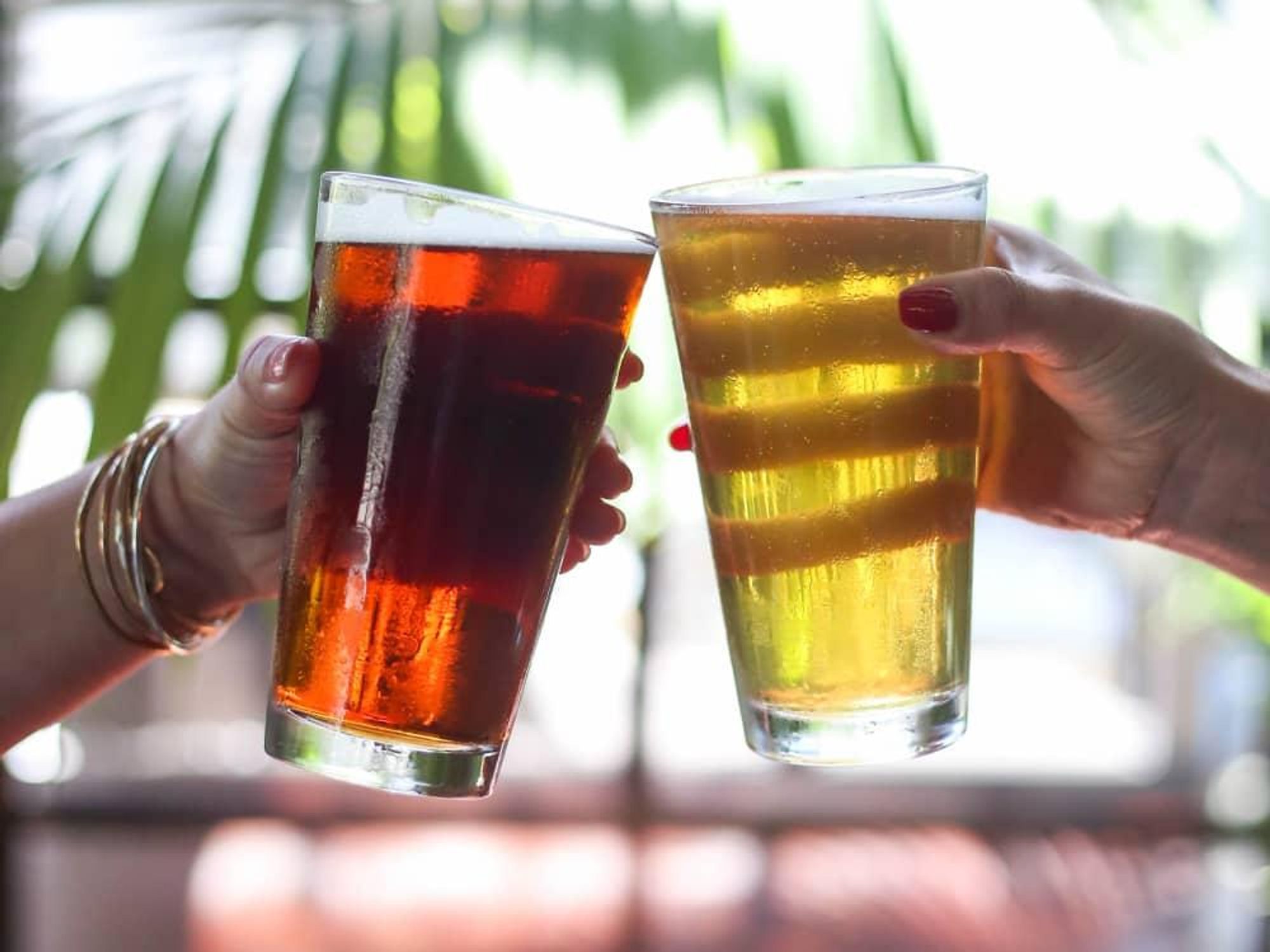 Eberly Cedar Tavern beer glass cheers
