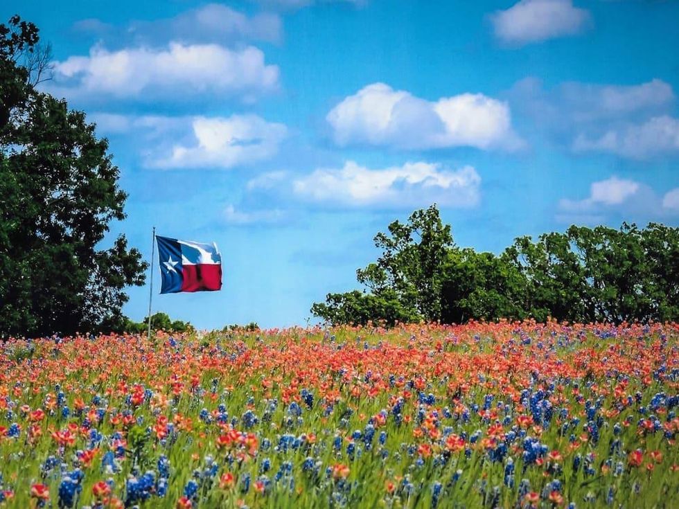 Ennis Bluebonnet Trails Festival