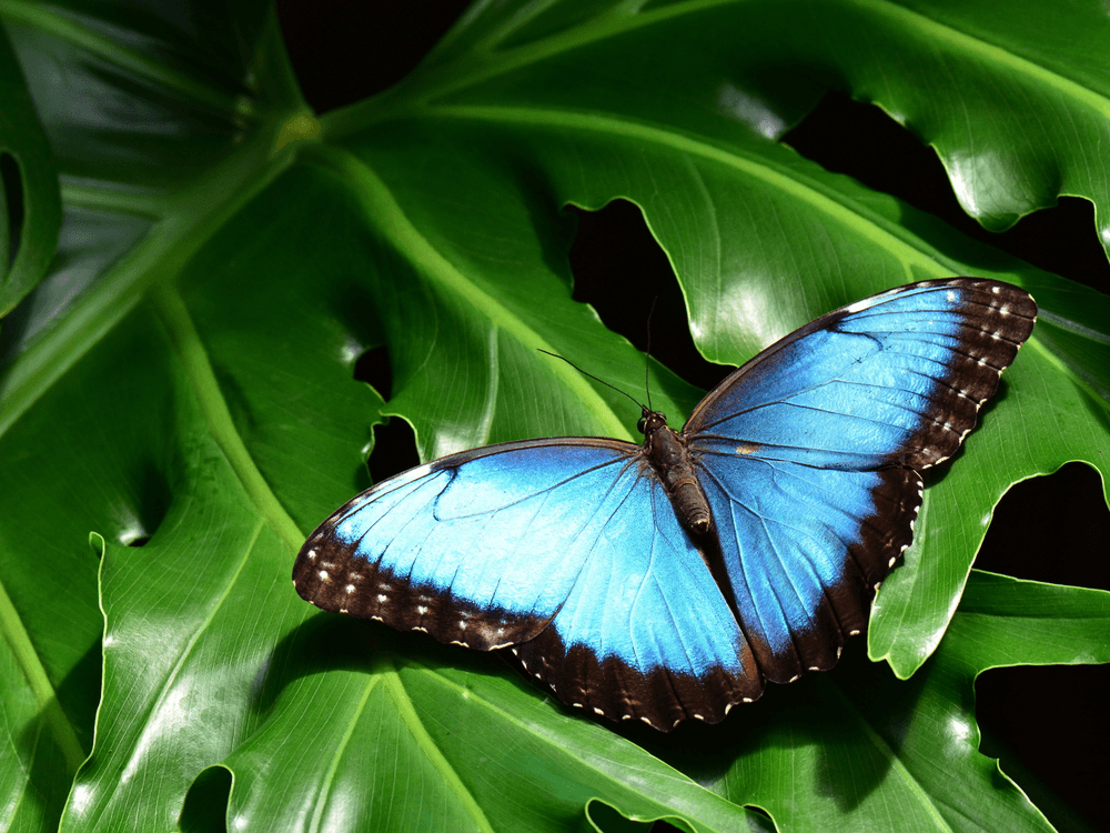 Bubble Run Fort Worth at Texas Motor Speedway