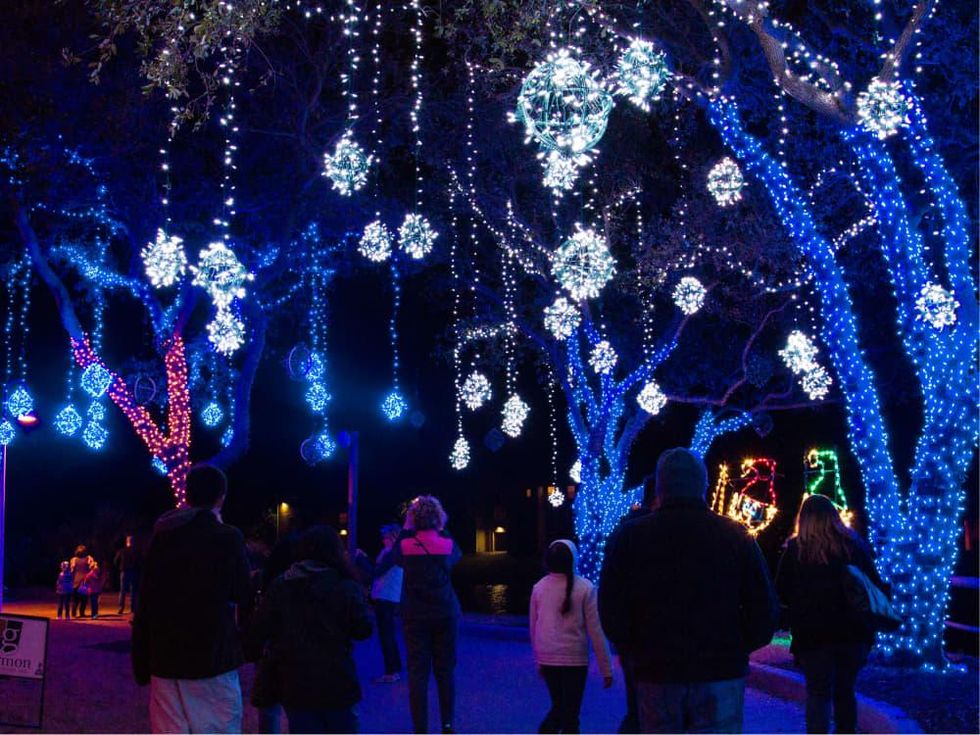 Festival of Lights at Moody Gardens