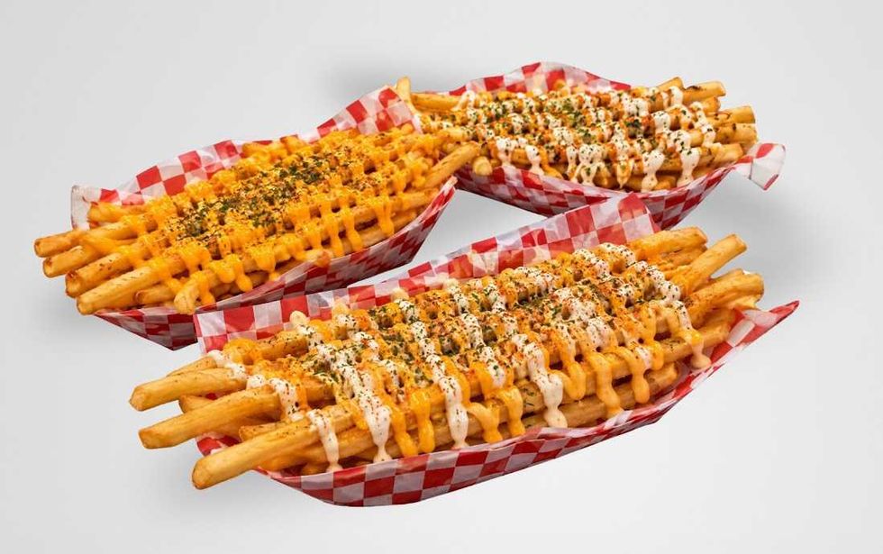 Foot Long Fries State Fair of Texas