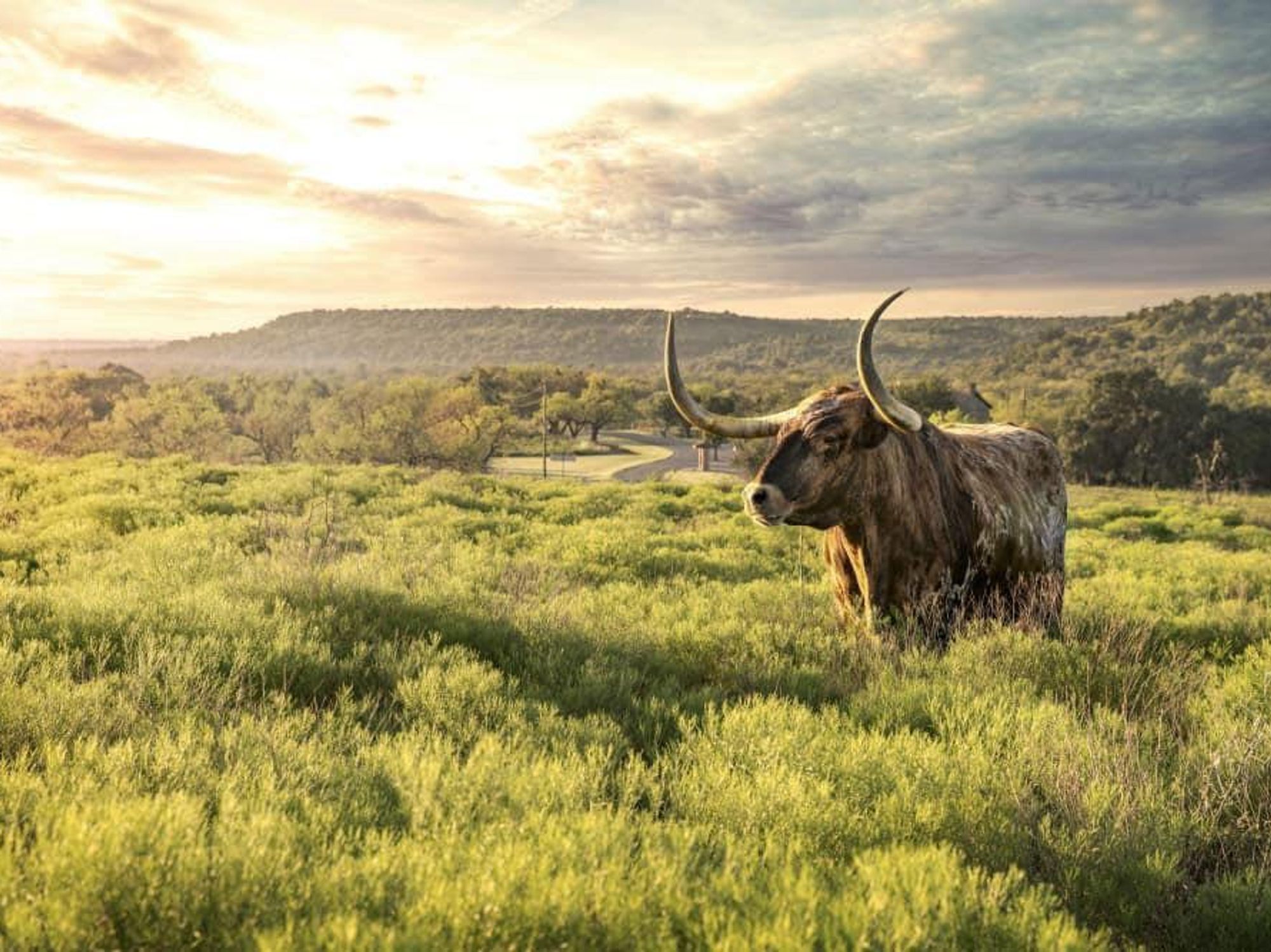 Fort Griffin is home to historical landmarks and roaming longhorns.
