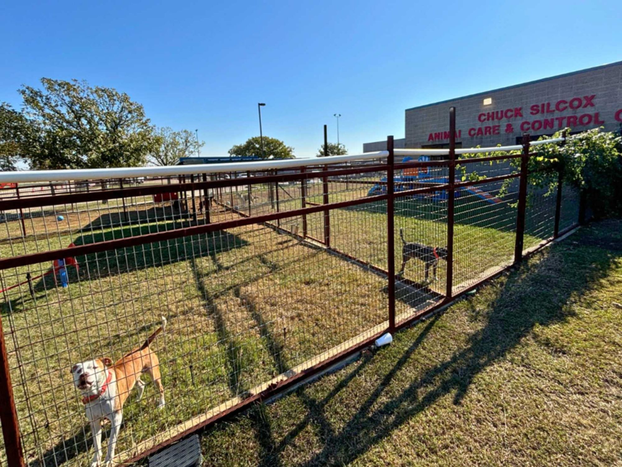 Fort Worth animal shelter