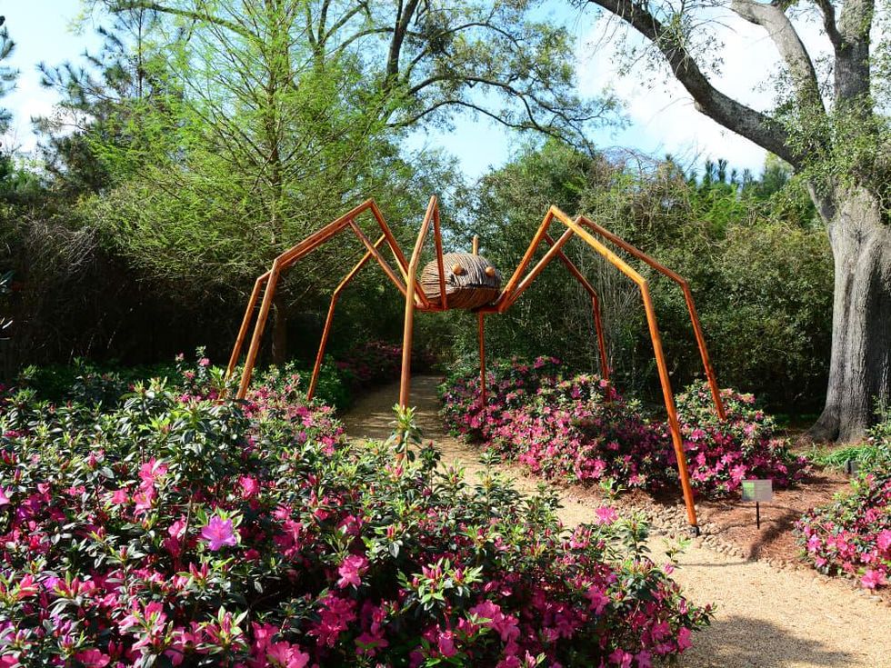Fort Worth Botanic Garden | Botanical Research Institute of Texas presents David Rogers: Big Bugs