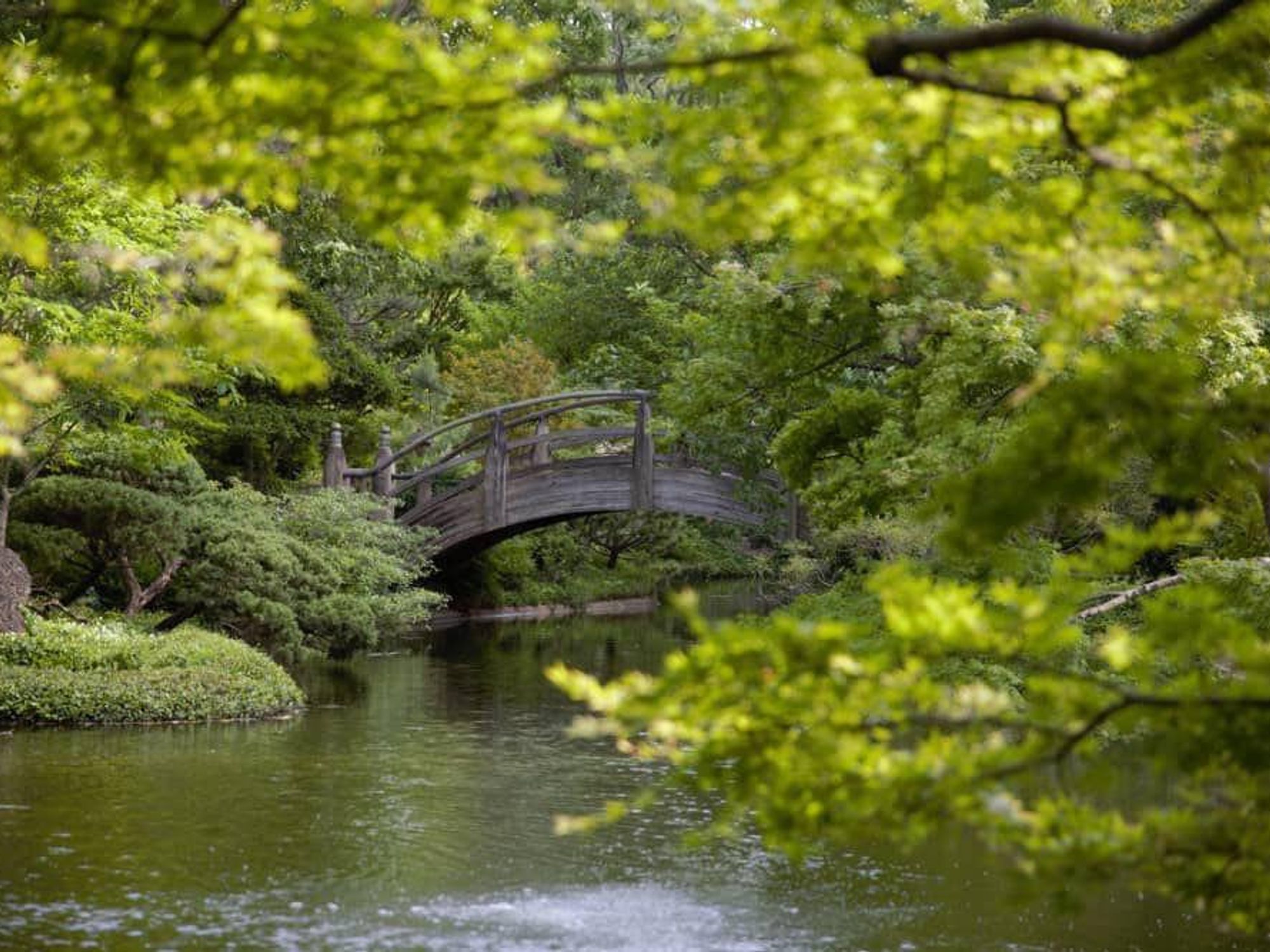 Fort Worth Botanic Garden
