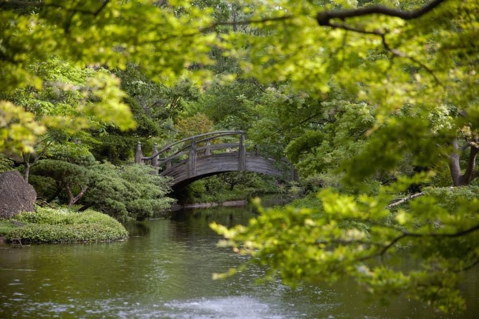 Fort Worth Botanic Garden