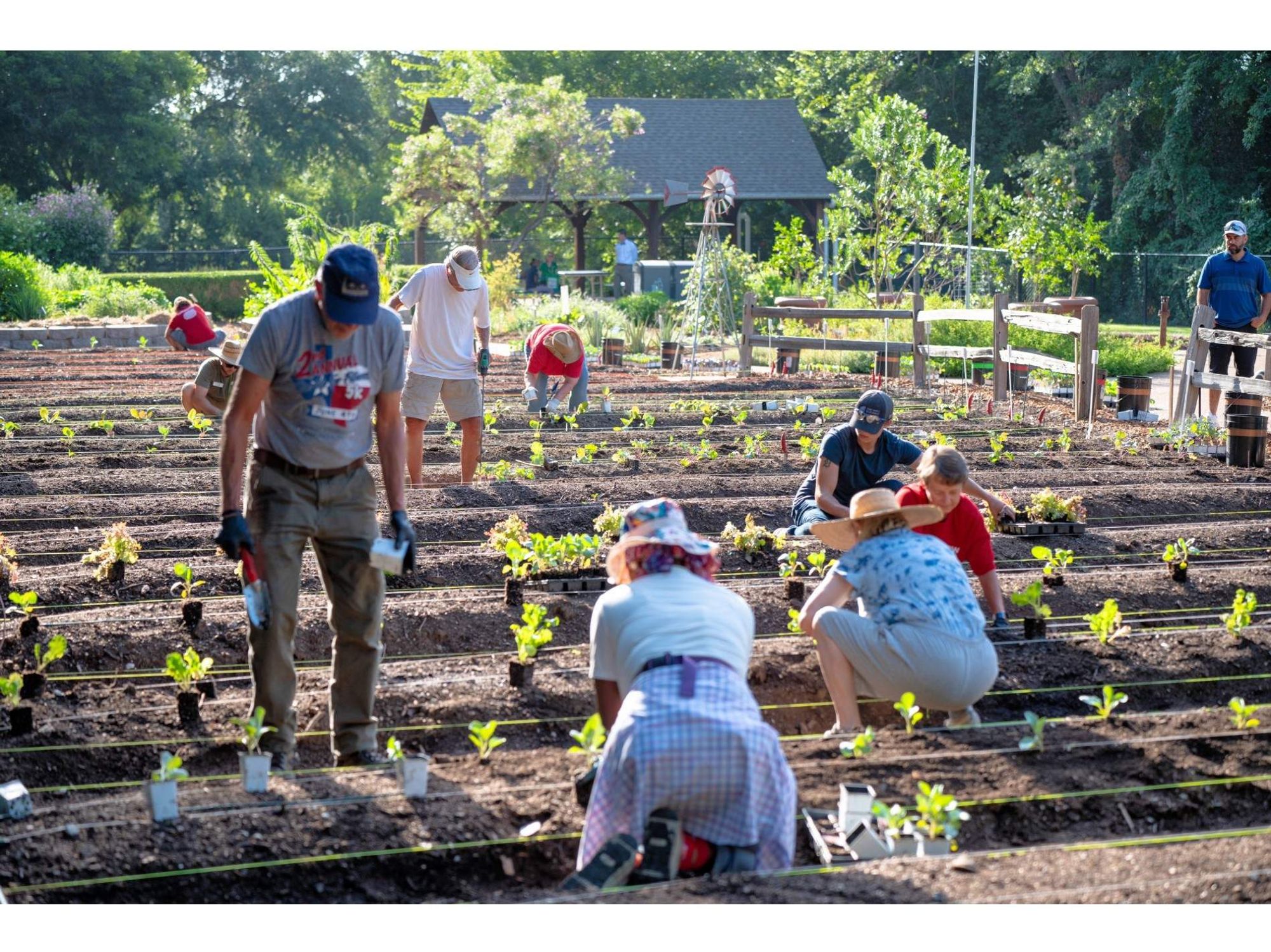 Fort Worth Botanic Garden