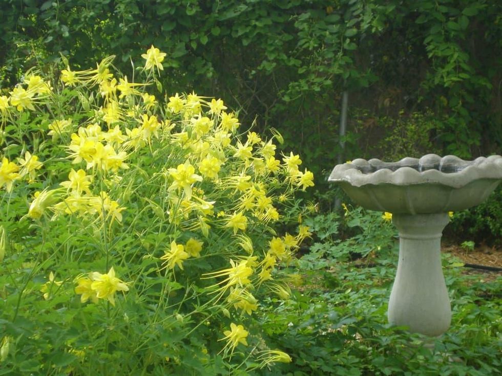 Fort Worth Hidden Gardens tour 2018