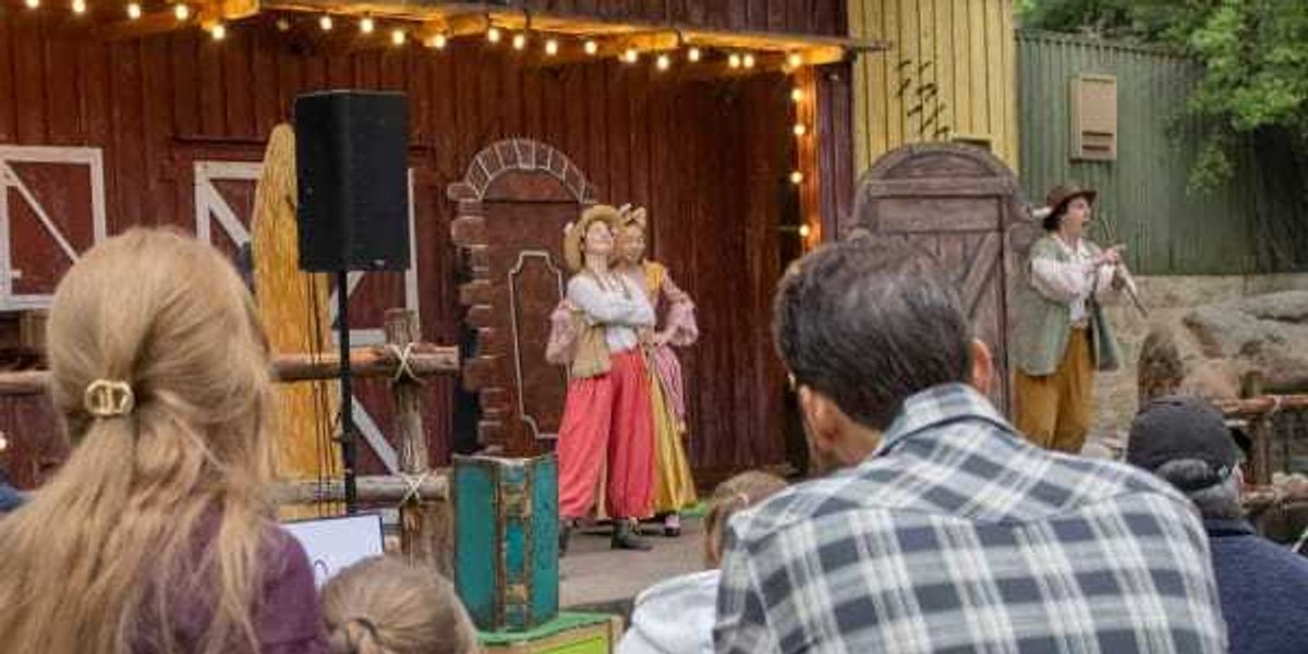 Fort Worth Opera's new Family Series aims to make opera fun for kids