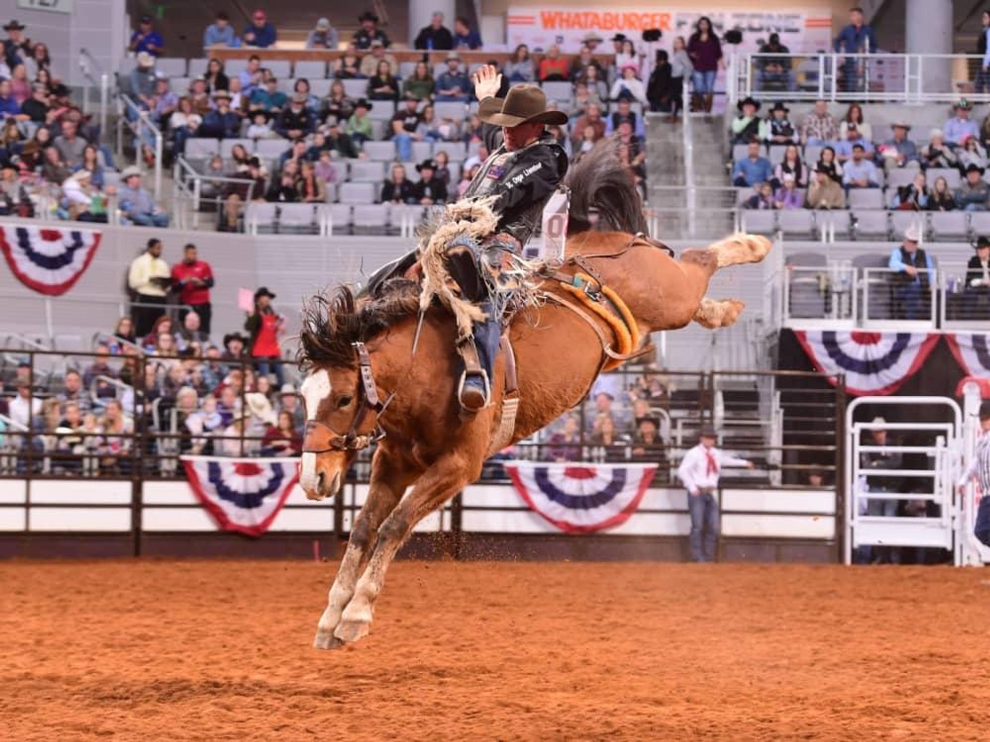 Fort Worth Stock Show & Rodeo 2020, Dickies Arena, bull riding