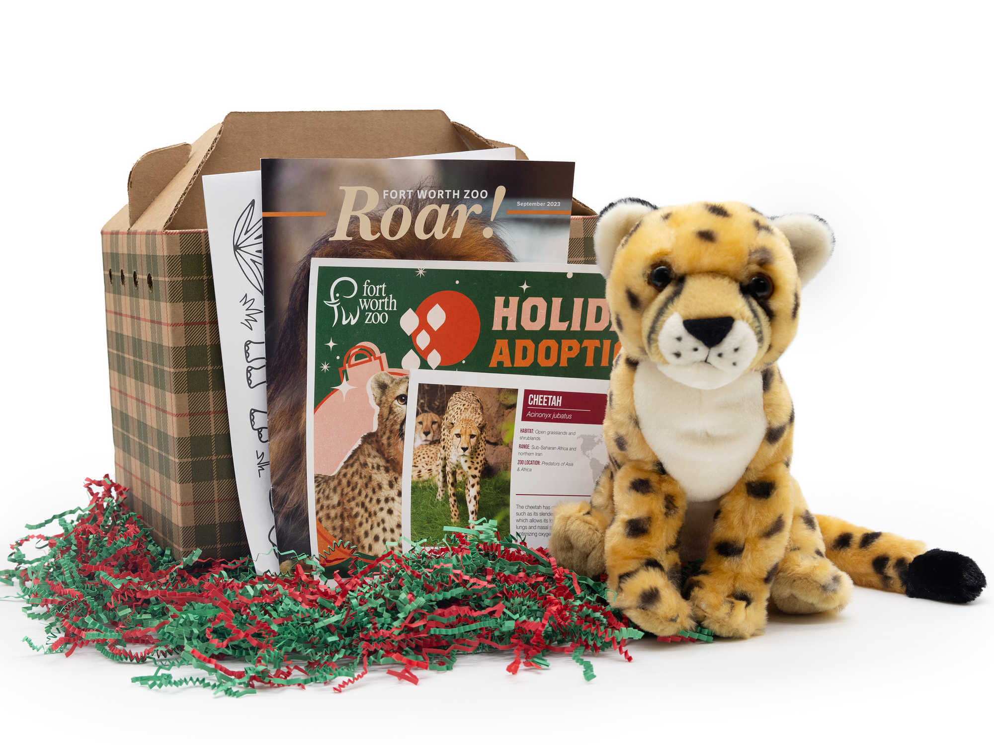 Fort Worth Zoo cheetah holiday adoption