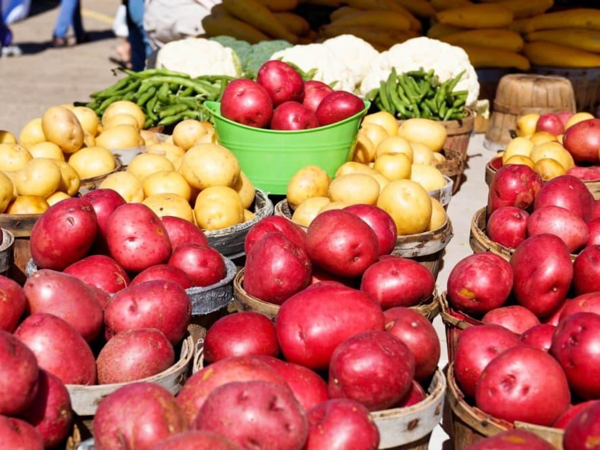 Four Seasons Farmers Market