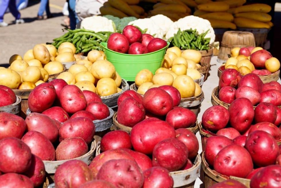 Four Seasons Farmers Market