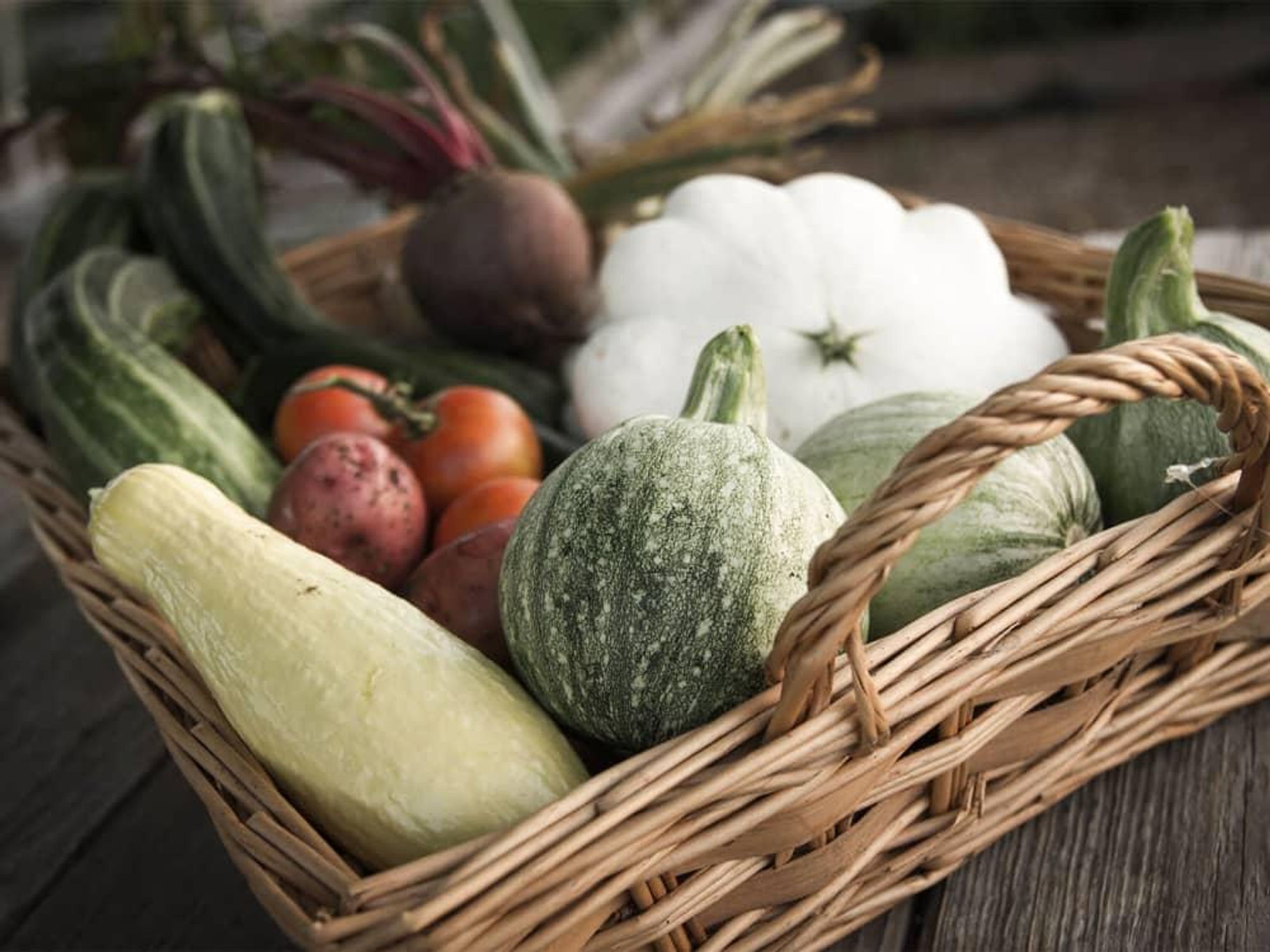 Fresh-picked garden produce