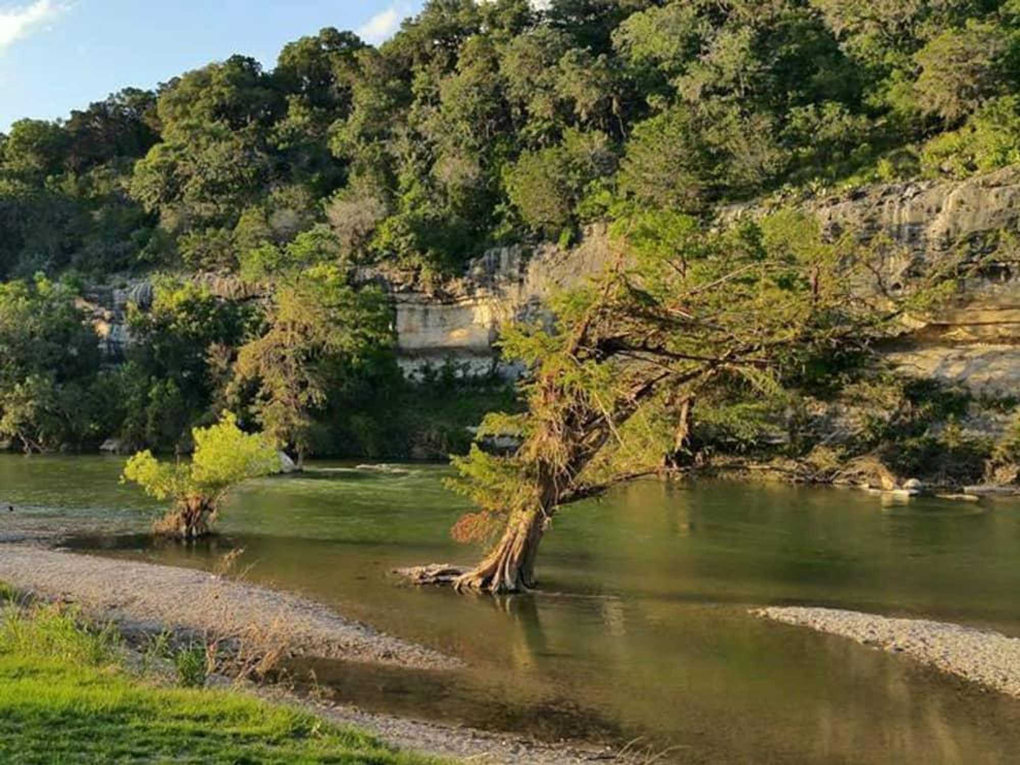 Guadalupe River State Park Spring Branch Texas swimming