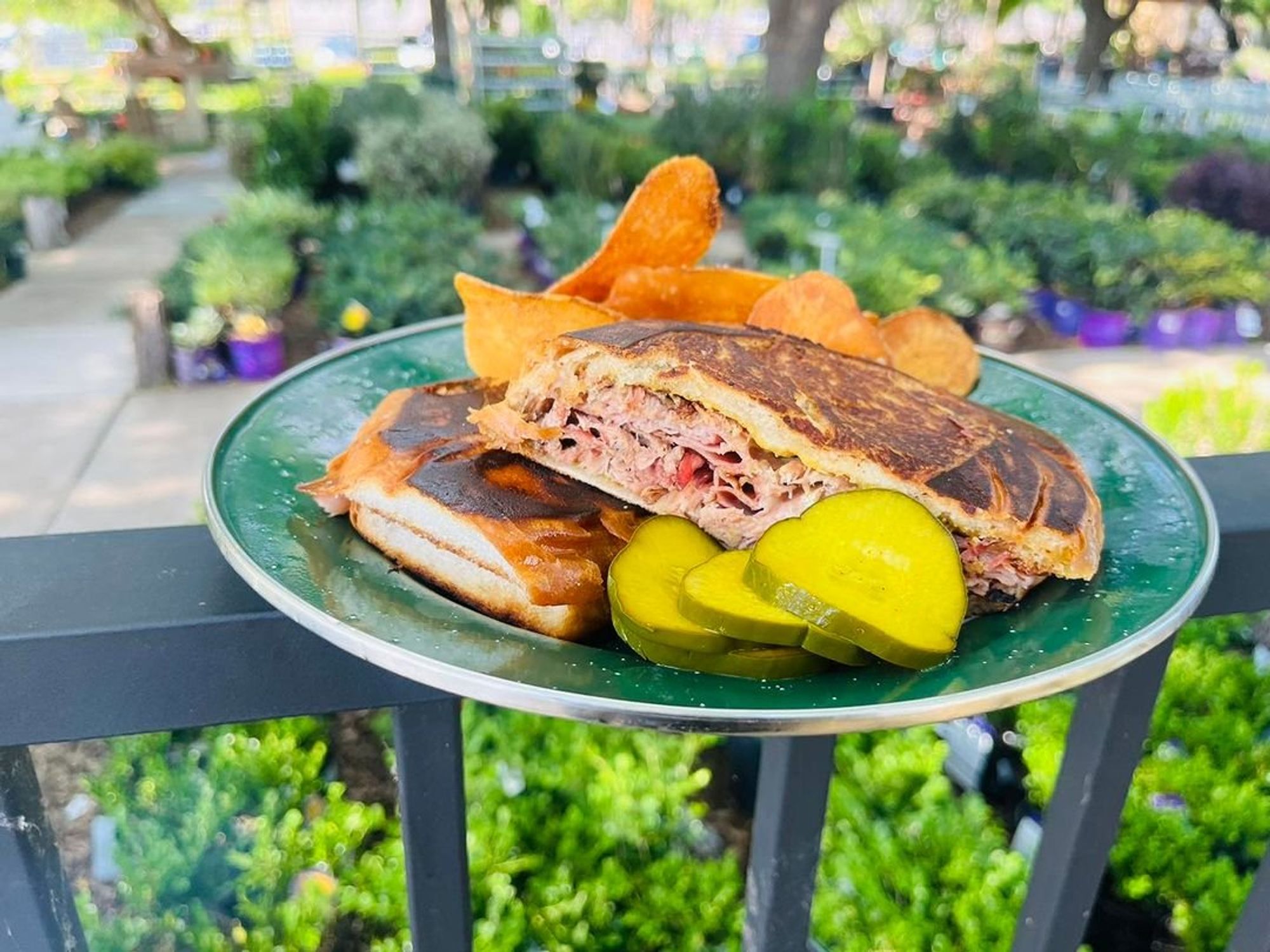 Heirloom FW cubano sandwich