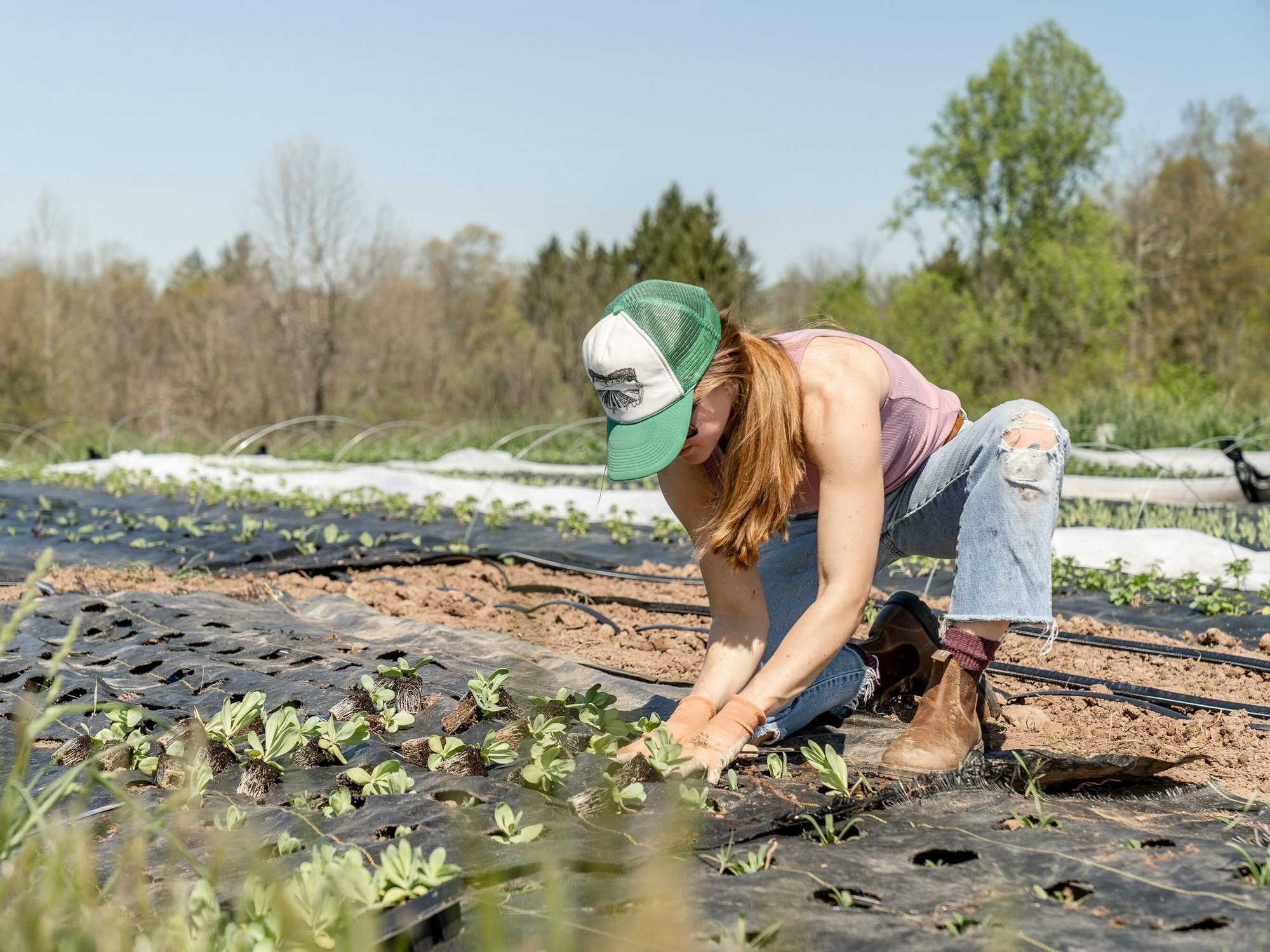Homesteading and gardening in Texas