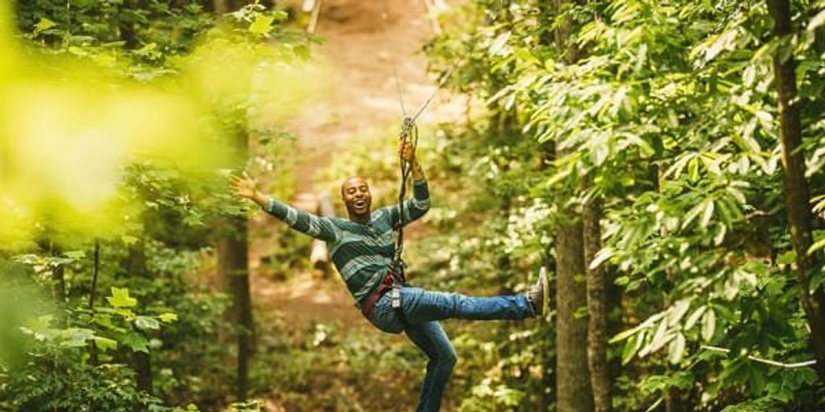 Zip through the trees at a high-flying new adventure park in Arlington