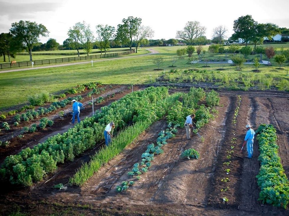 Inn at Dos Brisas, July 2016